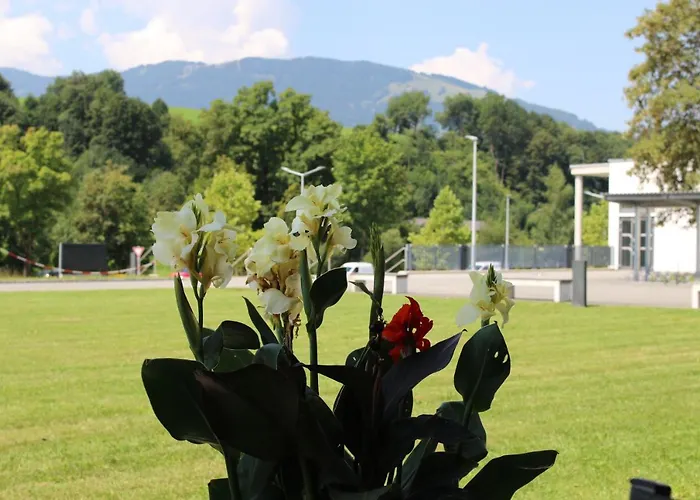 Alm 34 Mit 24 Stunden Self Check In